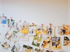 -Husky Go! 哈士奇体验馆·宠物咖啡厅狗咖