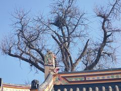 -狼山风景名胜区