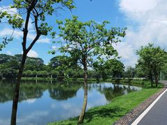 -松山湖风景区松湖烟雨