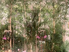 -施奈儿.洗头頭療.按摩SPA.采耳(上梅林店)
