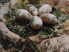 -湖南省地质博物馆