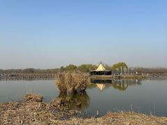 -西青郊野公园