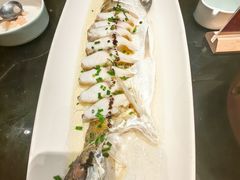 黑松露蒸大白鱼-王记姚家味·地道苏帮菜(凤凰街店)