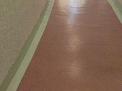 -杭州龙禧福朋喜来登酒店·游泳健身中心