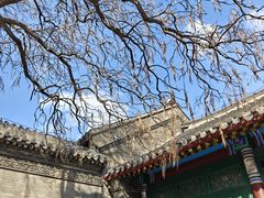 -张学良旧居陈列馆(大帅府)