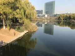 -大兴滨河森林公园