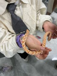 -神奇动物撸宠馆·羊驼·小浣熊·异宠(豫园店)