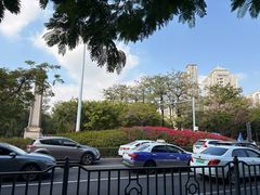 -百家春好德来姜母鸭