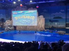 -华夏文旅海洋公园