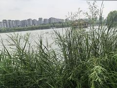 -西安曲江寒窑遗址公园