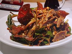 凉拌折耳根-小河盐帮·私家菜·烤鸭(三元桥·霄云路店)