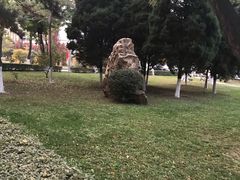 -辽宁大学(崇山校区)