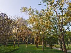 -荔香公园