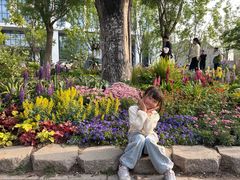 -西海子公园