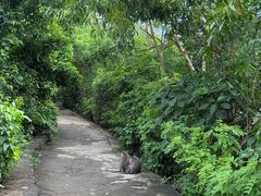 -乌鲁瓦图寺