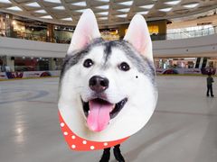 -全明星滑冰俱乐部(万象城店)