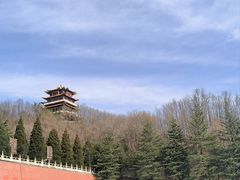 -中原大佛景区