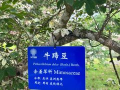 -中国科学院西双版纳热带植物园