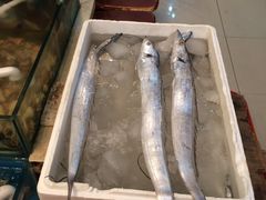 -小铜锣湾海鲜家常菜馆(河西店)