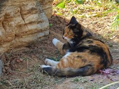 -北京西山国家森林公园