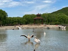 -哈尔滨北方森林动物园