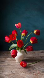 -FineYoga梵音瑜伽·普拉提