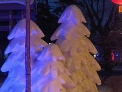 -长春市南湖公园