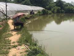 -武汉开心果园农业发展有限公司