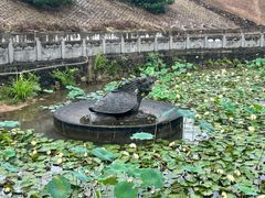 -三水森林公园