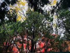 -八大关景区