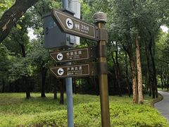 -东湖落雁景区