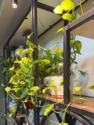 -冰岛刺青·手工耳饰品售卖·专业纹身