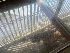 -栾川竹海野生动物园