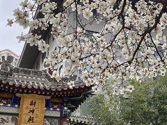 -罔极寺
