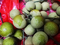 -江味龙虾馆·裸蓝龙虾(南山店)