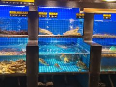 水产区-大鹏饭店·金陵家宴(奥体中心店)