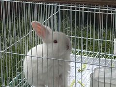 -怡咖啡·自助餐·西安香格里拉