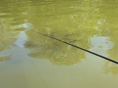 -酷鱼垂钓CLUB(朝阳区博大路店 )