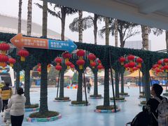 -海合安成都极地海洋公园