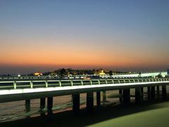 -演武大桥观景平台