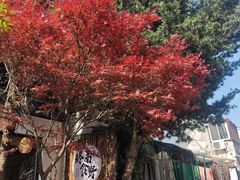 -琵琶语评弹茶馆(苏州平江路店)