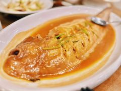 -良友·海鲜青岛菜(五四广场店)