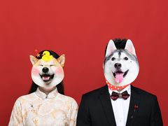 -羽·摄影工作室·外拍·跟拍·活动会议视频