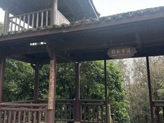 -千岛湖石林