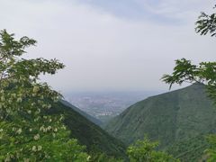 -福顺祥大盘鸡(临潼店)