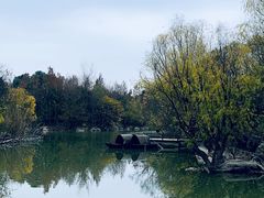 -上海吴淞炮台湾国家湿地公园