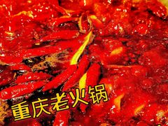 -大龙火锅(老店)