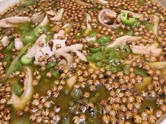 -陈麻婆豆腐总店