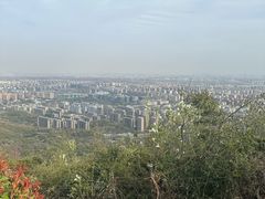 -杭州半山国家森林公园