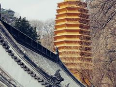 -天津盘山风景名胜区